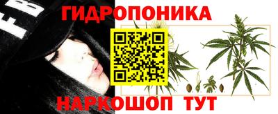 гидра Чапаевск