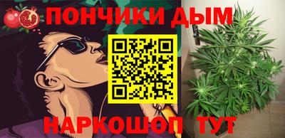 гидра Чапаевск