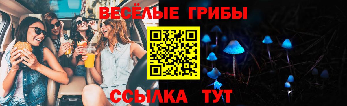 Галлюциногенные грибы мицелий  Вход с VPN  наркошоп  Белореченск 